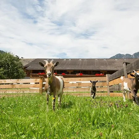 Гостевой дом Hummerau 3*