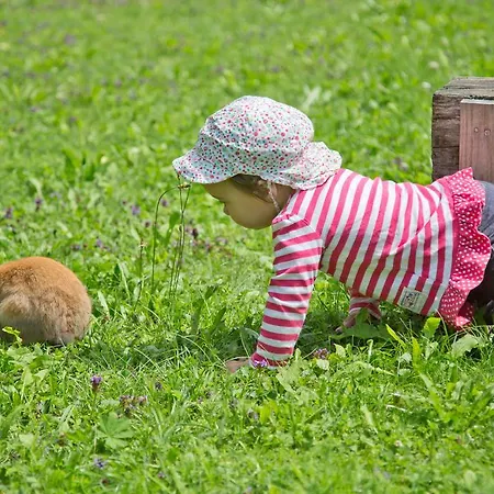 Hummerau 3* Альпбах