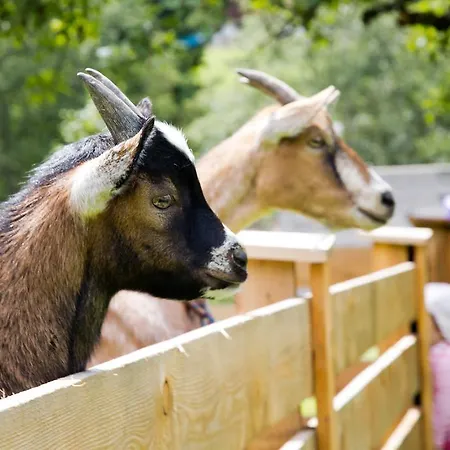 Hummerau Альпбах